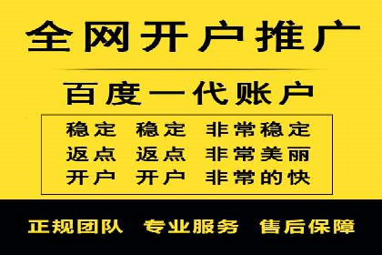 案例解读：网络推广与竞价策略